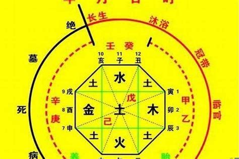 八字五行喜用神|八字喜用神查询